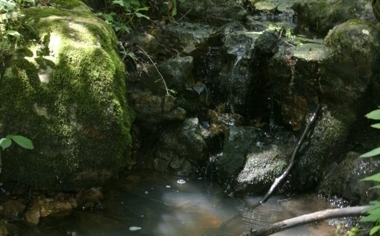 A small waterfall in the woods