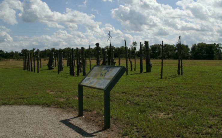 An info plaque about tree trunks in a field