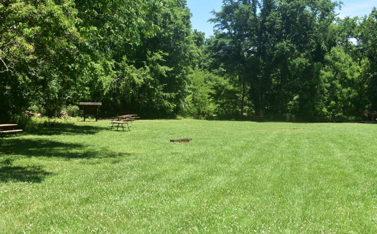 Picnic tables in a field