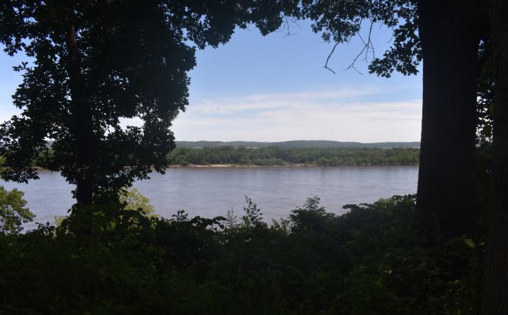 A river surrounded by trees on all sides