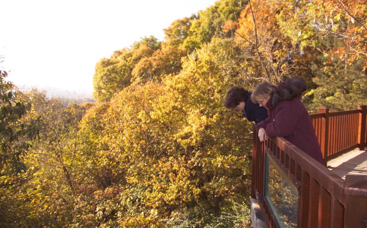 Two people looking at an autumn forest on an overlook