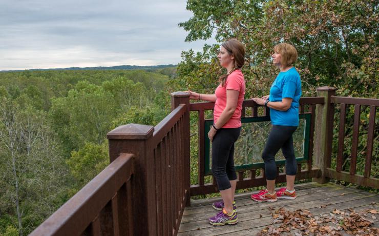 Two people looking at a forest on an overlook