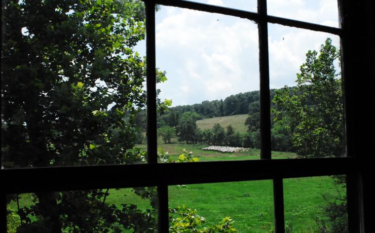 A grassy field viewed from a window