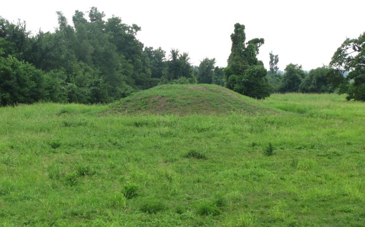 A mound in a grassy field