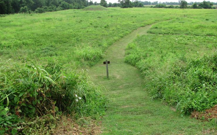 A trail through a grass field