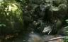A small waterfall in the woods