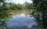 A river