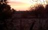 Sunset over a field with a barbed wire fence