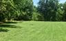 Picnic tables in a field