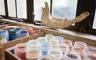 Jars of paints sitting by a window with a jaw bone on the sill