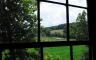 A grassy field viewed from a window