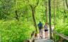 Two people and a dog walking a wooded trail