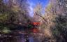 A red covered bridge over a creak