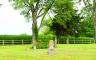 A gravesite