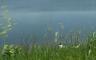 A hill overlooking a lake