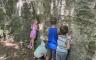 A group of four children explores a rocky outcrop