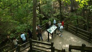 people looking at a display plaque for caves