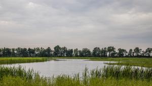 A river