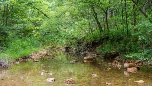 A creak