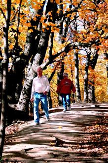 People walking down a wooded trail