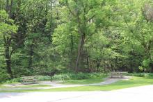 A picnic area under some trees