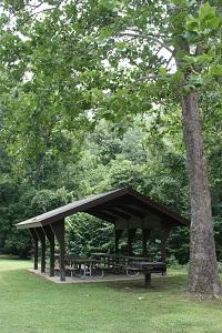a picnic shelter under a large shad tree
