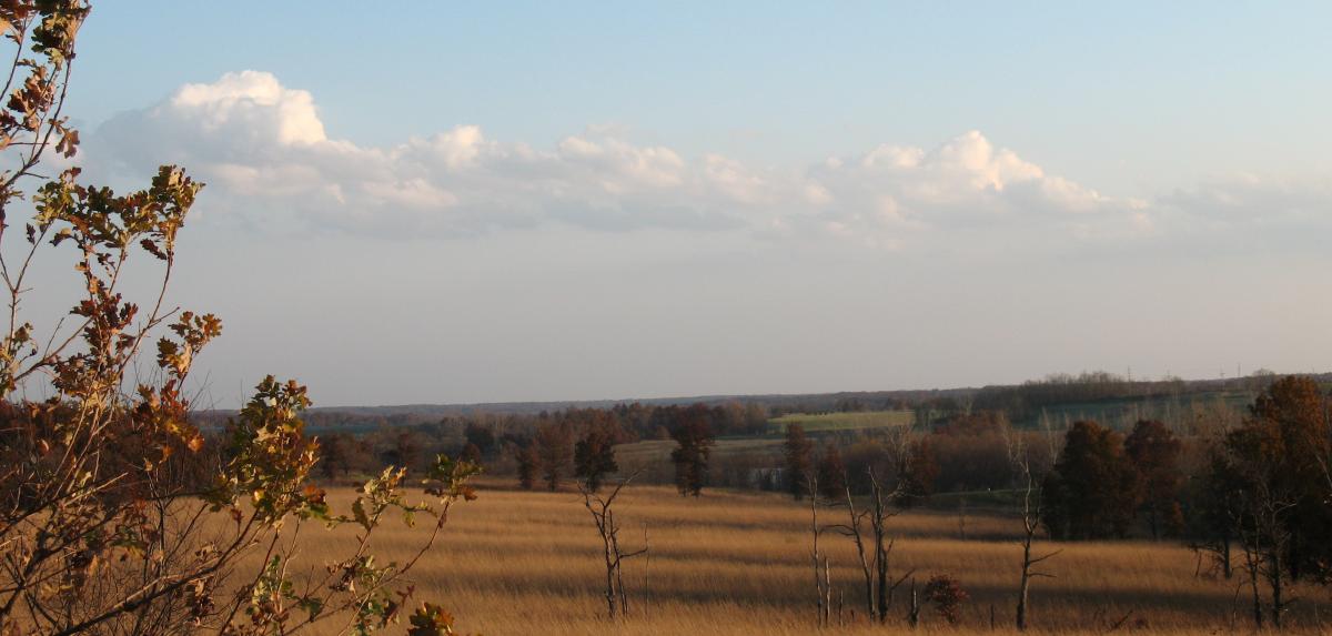 A prairie