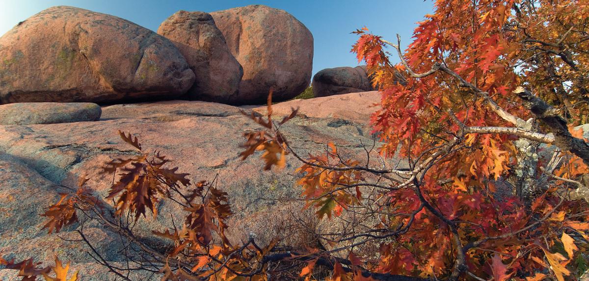 giant boulders on top of a rock bed with fall color trees in the foreground