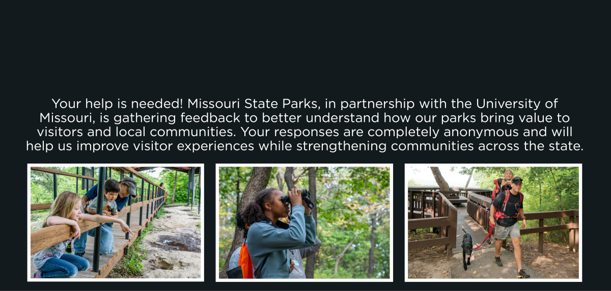 Graphic for Economic Impact Visitor Survey