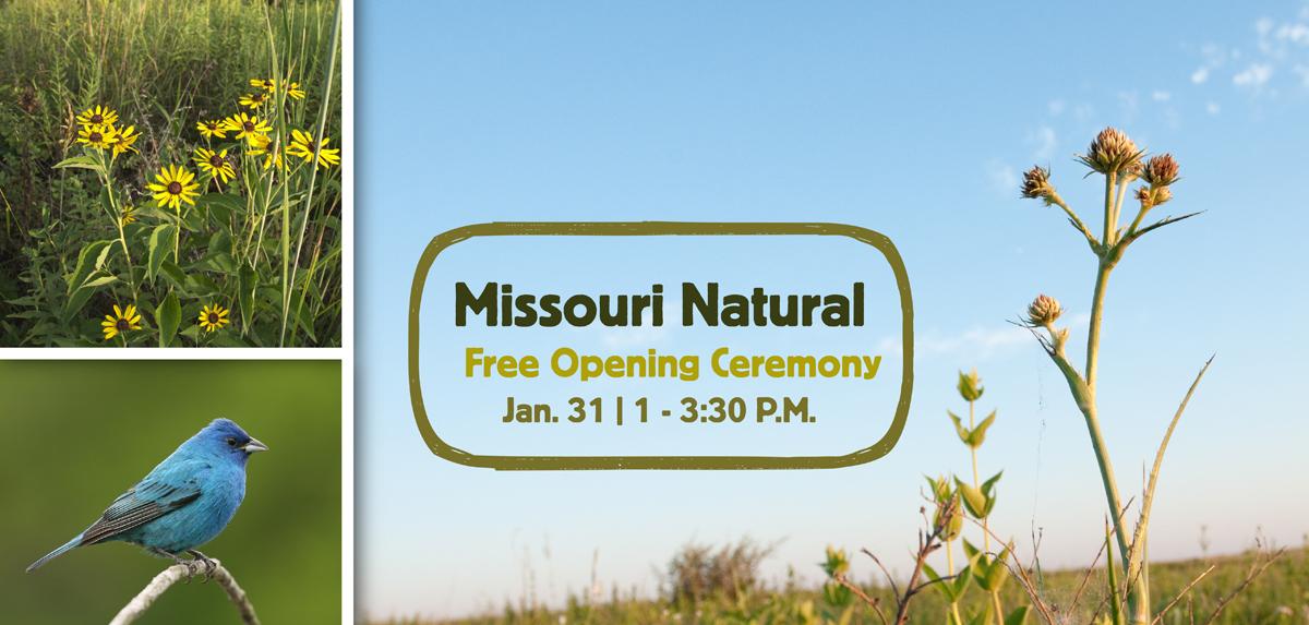 Free opening ceremony on January 31, 2026 from 1:00 - 3:30 p.m.