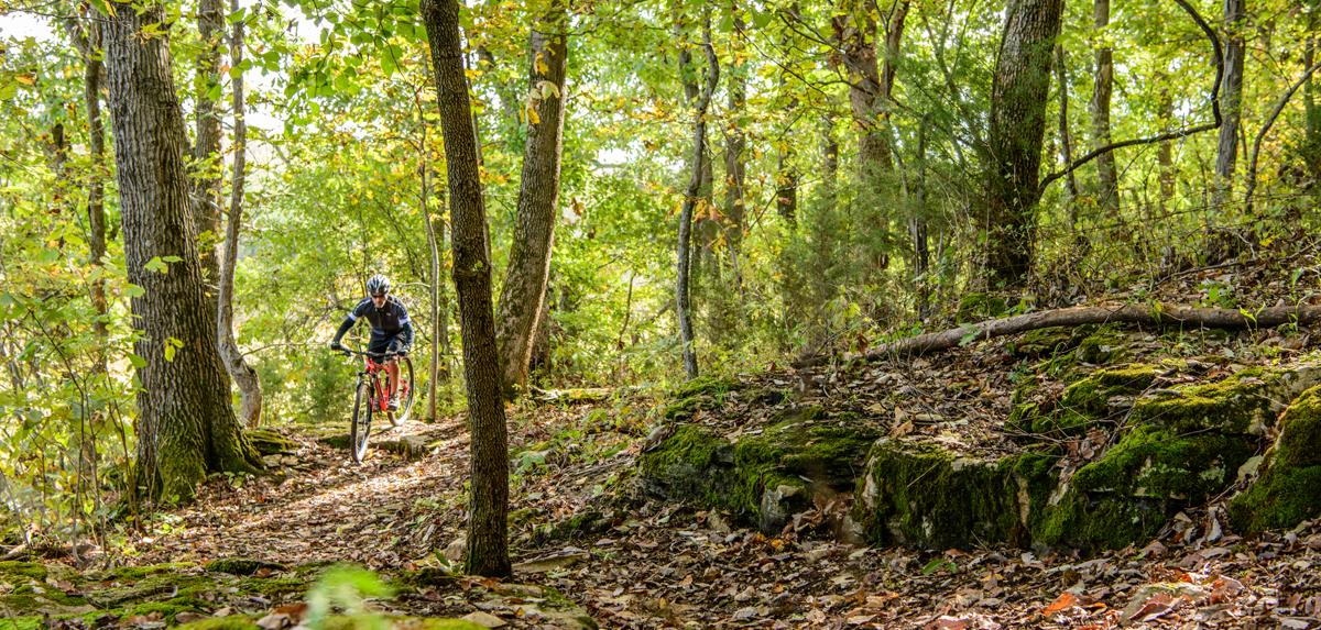 A man biking through the woods on a dirt rrail
