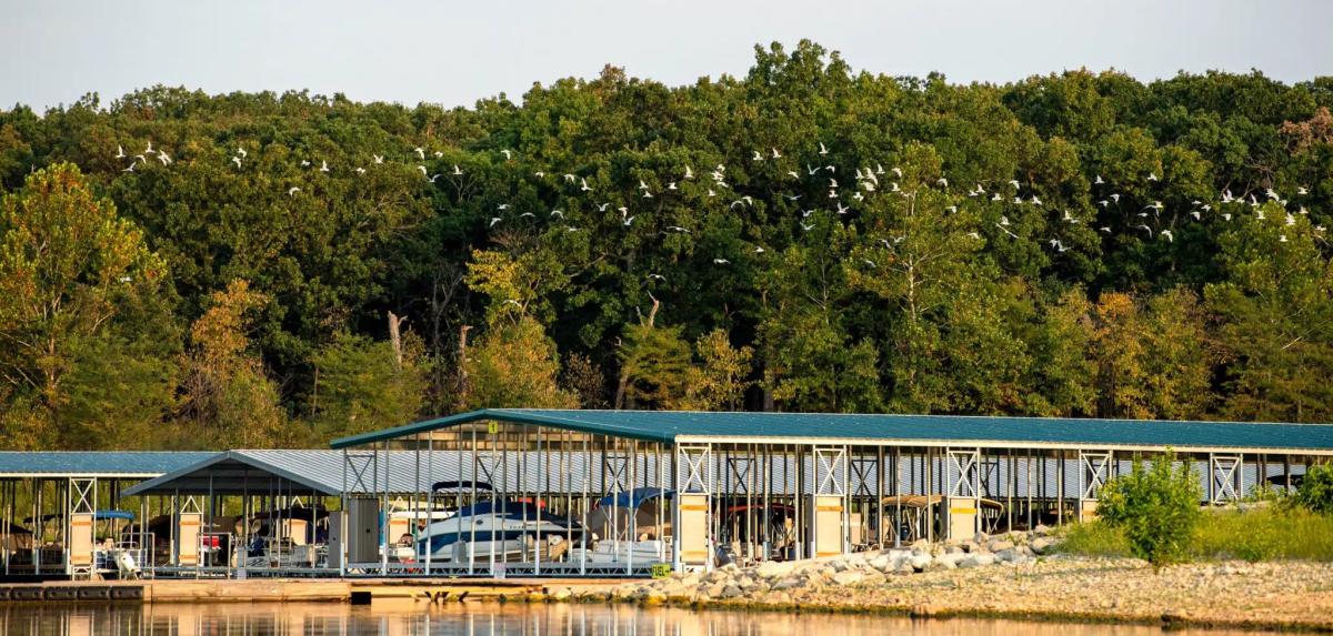 Covered boat docks with birds flying above