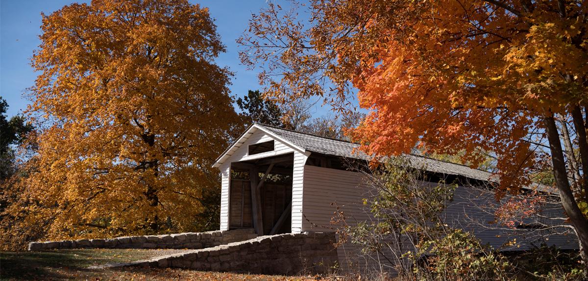 White covered bridge surrounded by orange foliage