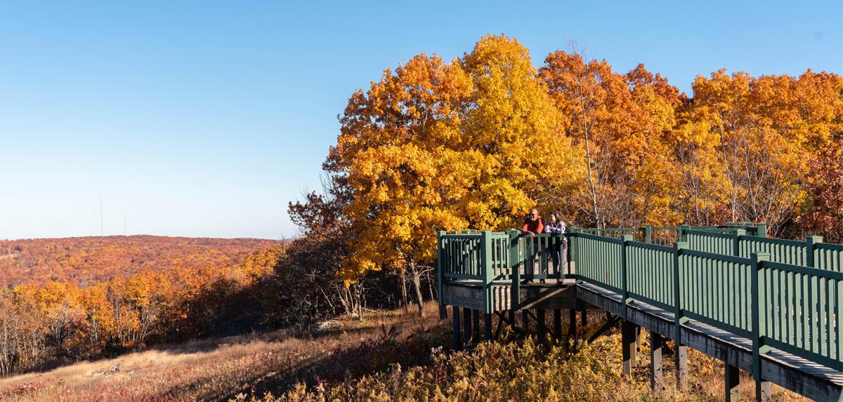 Two people leaning against an overlook railing with orange and yellow foliage in the background