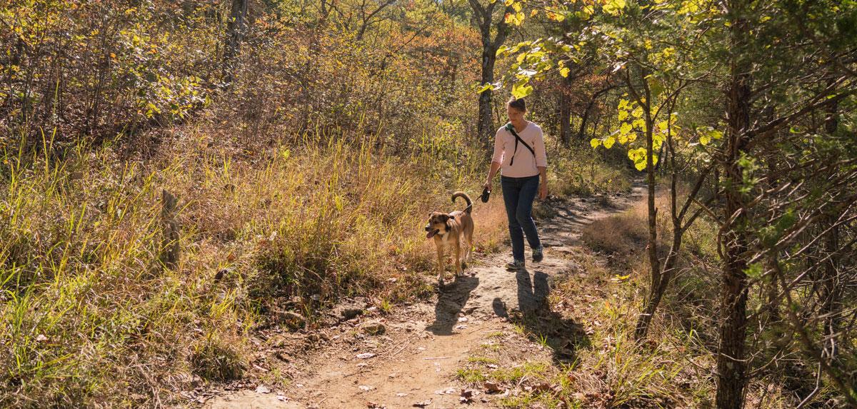 Woman walking dog on natural-surface trail