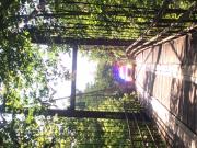 Rangers Car looking across Bridge