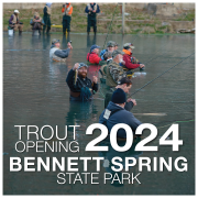 Image will take you to the 2024 Trout Opening Flickr Gallery for Bennett Spring State Park.