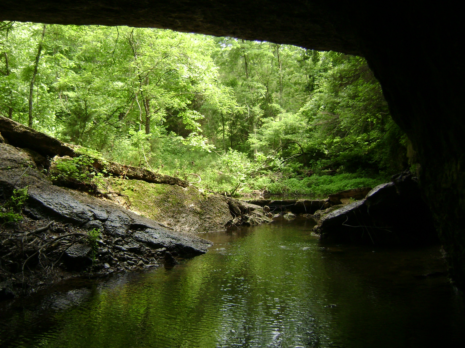 Park Trails | Missouri State Parks