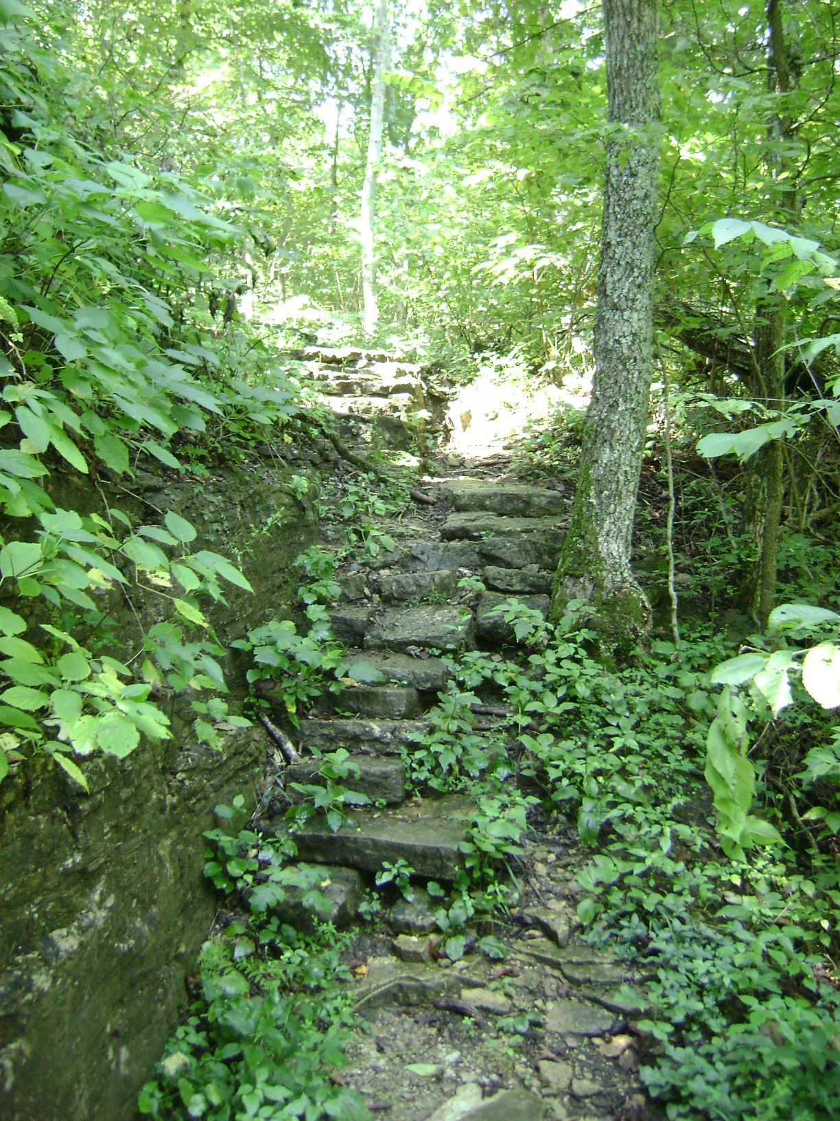 Park Trails | Missouri State Parks