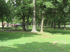 shaded picnic area