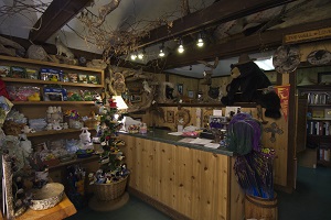 interior of store 