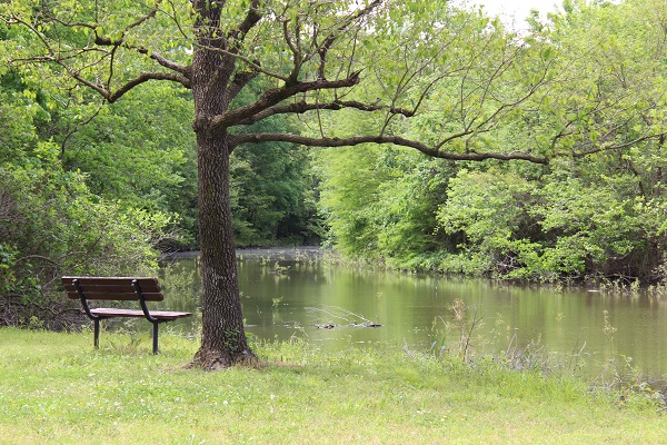 a bench sitting next to the moat
