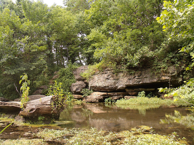 the spring beneath a tree-lined rock bluff