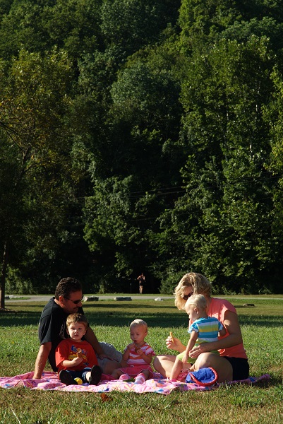a family having a picnic on a blanket in the grass