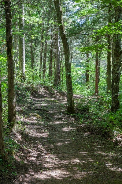 Park Trails | Missouri State Parks