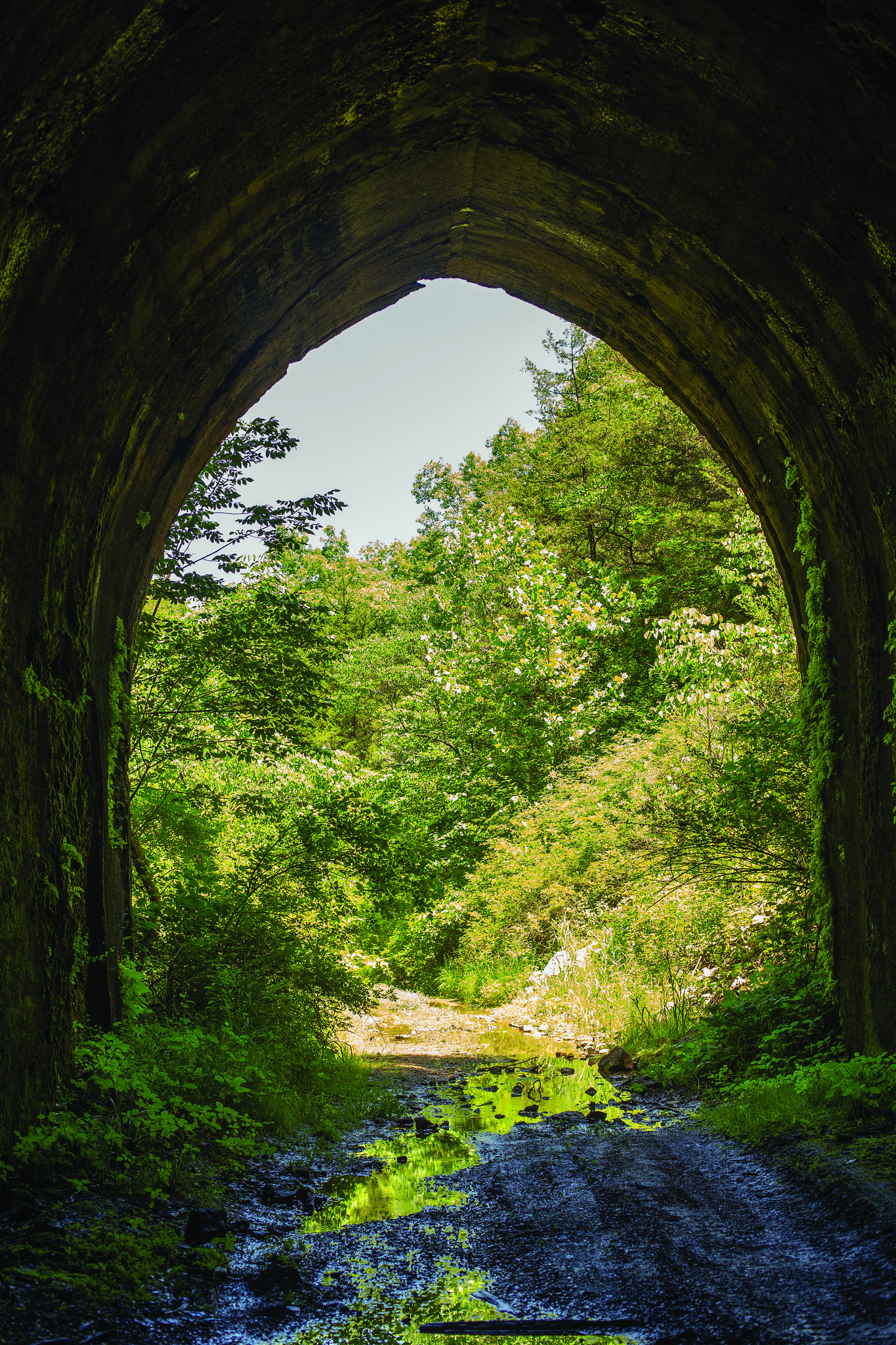 View from inside tunnel at Eugene, Missouri