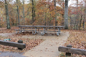 sidewalk leading to two picnic tables on a concrete slab