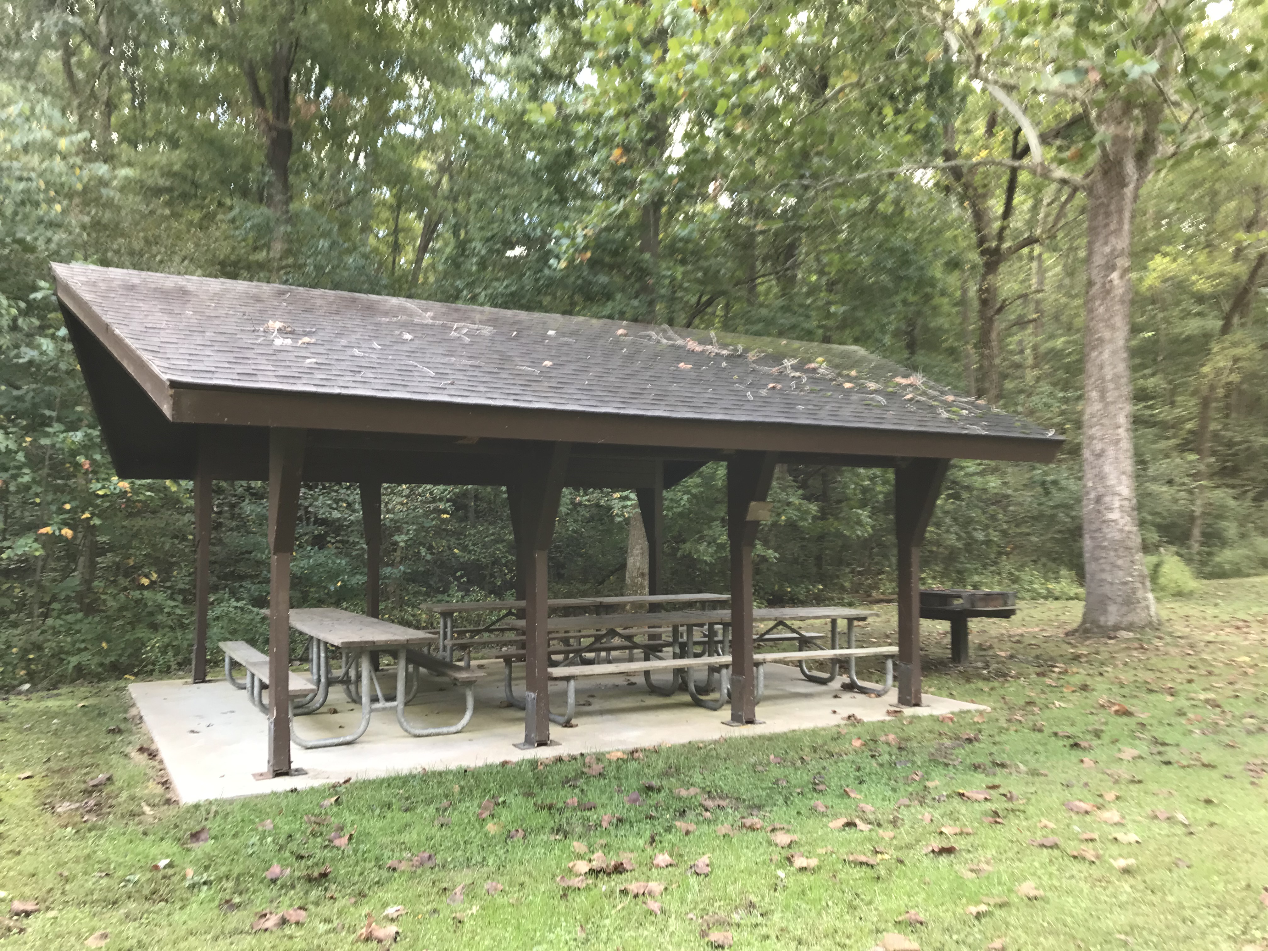 Side view of the small picnic shelter, nestled against a line of trees
