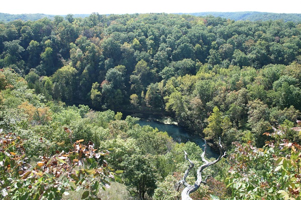 view from the overlook of trees and the spring running between them