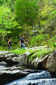 hikers on a trail next to Pickle Creek where water rolls over rocks